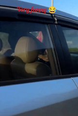 Vidéo très drôle.