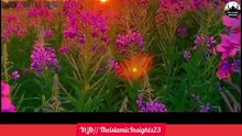 Kamyabi_Tumhara_Muqadar_Ban_Jaye_gi___Ye_Tasbeeh_Karna_Shuru_Kardo__Qari_Sohaib_Ahmed_Meer_Muhammadi(360p)