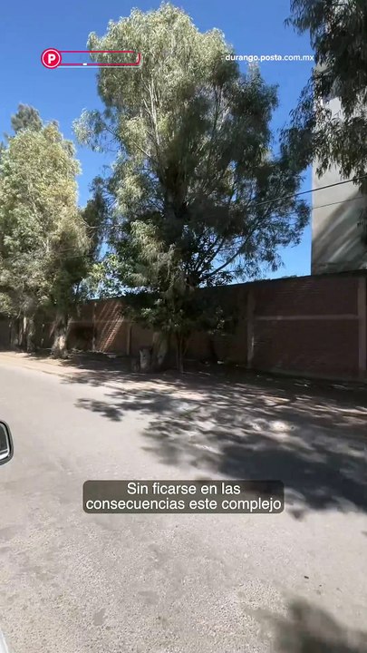 Podrían derrumbar árboles por construcción de departamentos