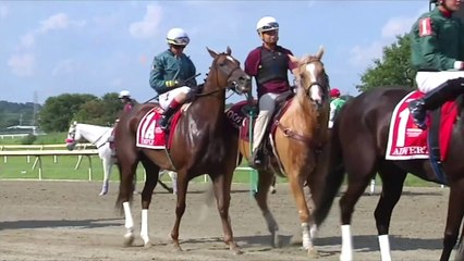 202011-PA BREEDERS-Short-Ads-07