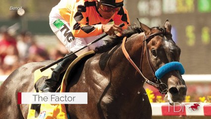 Fog of War Begins Stud Career in New York