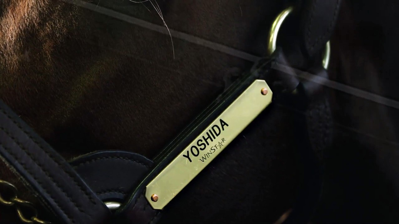 WinStar - Yoshida.