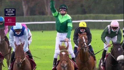 Arqana Seasons Greetings