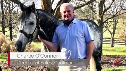 Homecoming for Ashford's Caravaggio