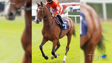 Ed Vaughan Embracing His New Kentucky Home