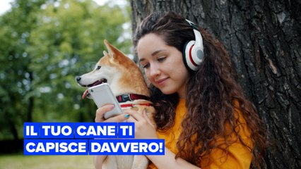 I cani sono in grado di riconoscere una lingua straniera