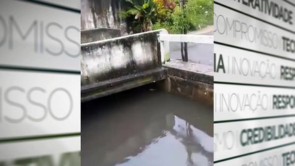 b'Jacara9 encontrado em canal por moradores de Bela9m'