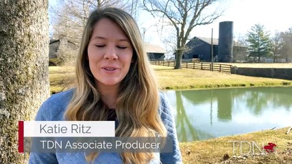 Meet Claiborne Farm's First Catholic Boy Foal