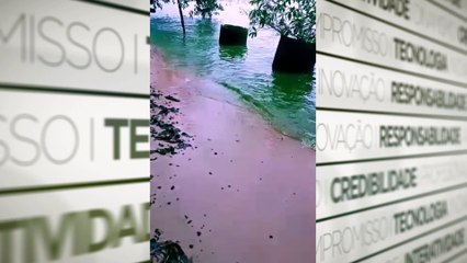 b'Moradores denunciam cor estranha da a?gua de praia em Barcarena'