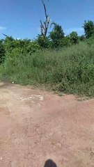 b'Professora desaparece em Moju e carro a9 encontrado perto de cemita9rio '