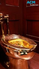 Thieves flushed out after gold toilet heist from Churchill’s home
