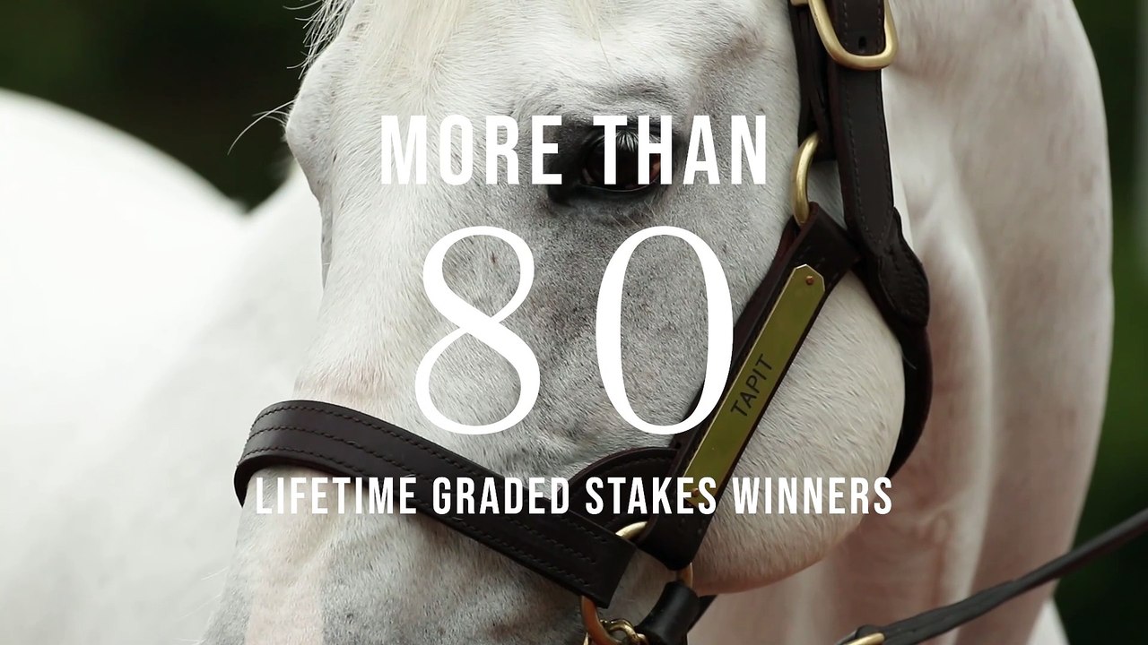 Gainesway - Tapit.