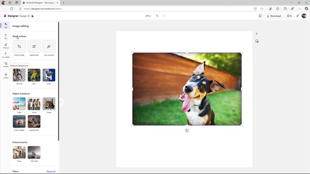 Microsoft Designer Section 24 Background Editing Options