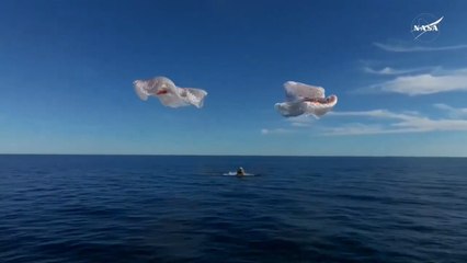 Los astronautas Wilmore y Williams regresan a la Tierra tras 9 meses en la ISS