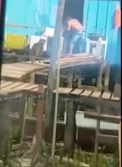 b'WhatsApp-Video-2020-10-20-at-08.58.02.mp4'