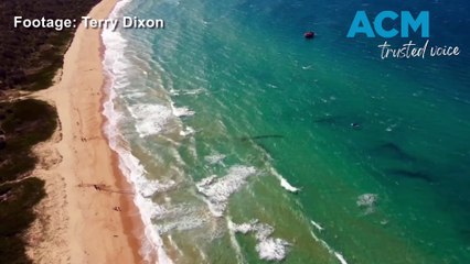 Incredible footage of fishing crew using a massive net to catch salmon