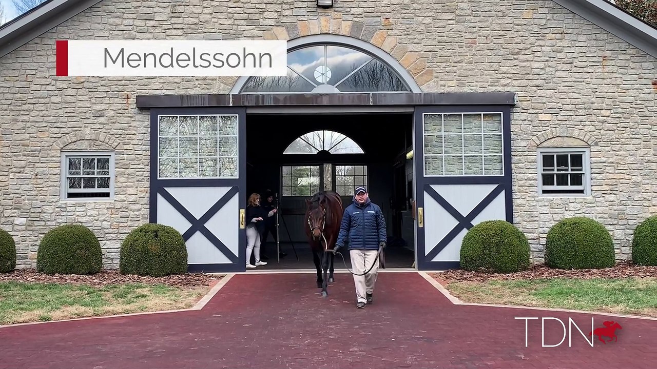TDN Stallions: Mendelssohn