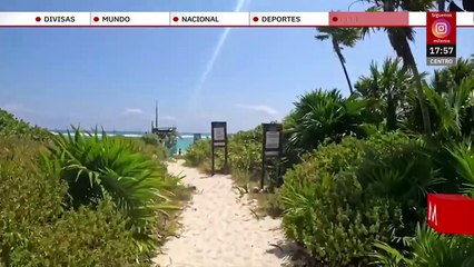 Registran primer recale masivo de sargazo en Quintana Roo | Milenio Hábitat