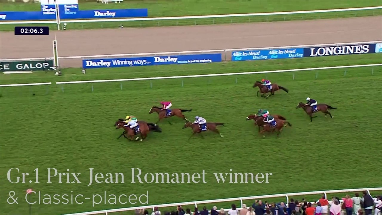 Vente d'Elevage - GRAND GLORY
