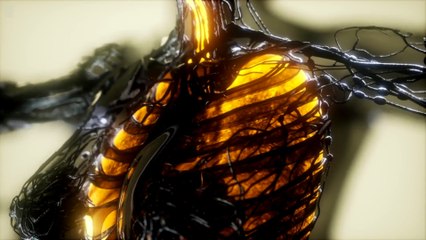 b'TRATAMENTO_POS_COVID___DINAN____02-06-2020.mp4'