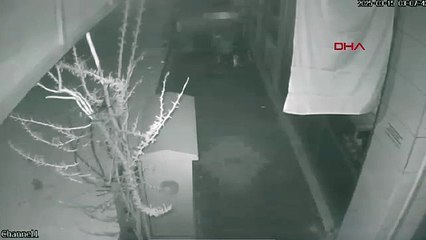 Türk Bayrağı'na hain saldırı! Asılı bayrağı kopartan hadsiz kamerada!