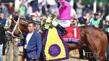 City of Light Ready to Shine in Saratoga with First Yearlings