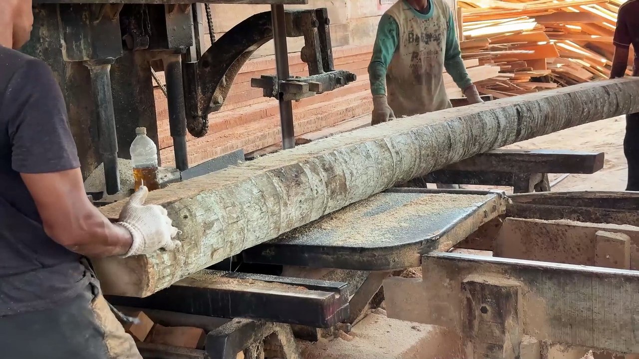 Professional Sawmill Machine 2x20 Wood Production from Coconut Tree