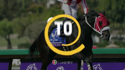 Gainesway - Spun to Run