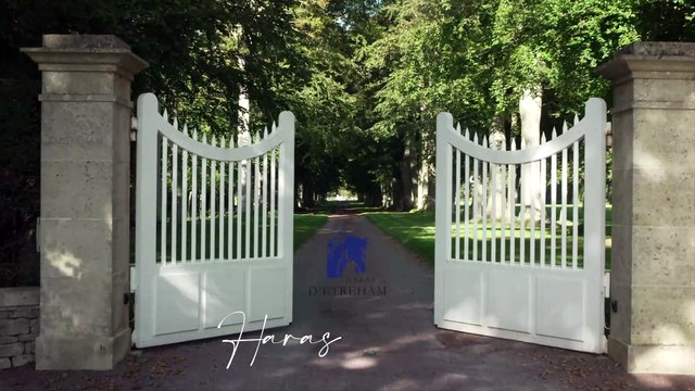 Haras d'Etreham at Arqana Vente d'Elevage
