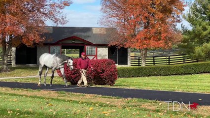 Tacitus Extends Family Dynasty at Taylor Made