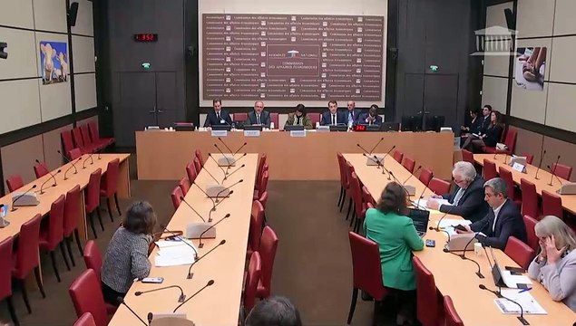 Commission des affaires économiques : Situation économique et perspectives de développement des activités de Vencorex en France - Mardi 18 mars 2025
