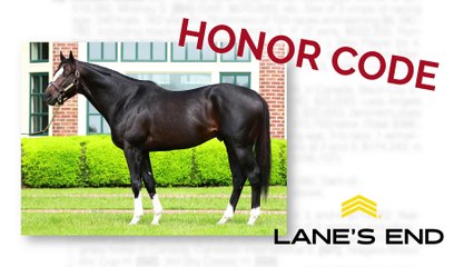 Name the Colt: The Names are Pouring in!