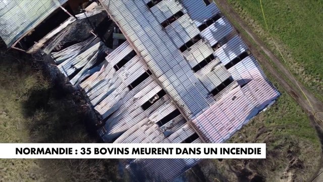 Normandie : 35 bovins meurent dans un incendie