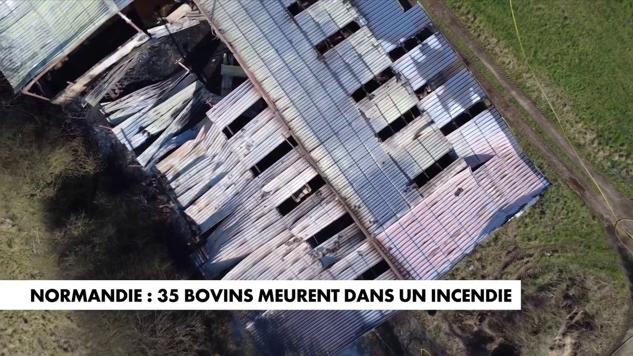 Normandie : 35 bovins meurent dans un incendie