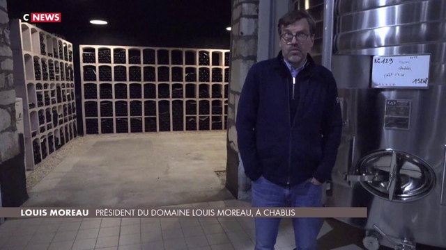 Taxes Trump : les vignerons craignent l'arrêt de la commercialisation aux États-Unis