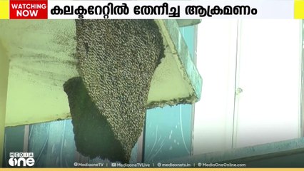 തിരുവനന്തപുരം കലക്ടറേറ്റിൽ വീണ്ടും തേനീച്ച ആക്രമണം