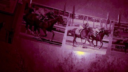 Spendthrift - Thousand Words