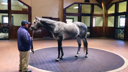 Funtastic 360° Video Experience