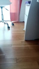 Leo Barboncino ed il suo sito