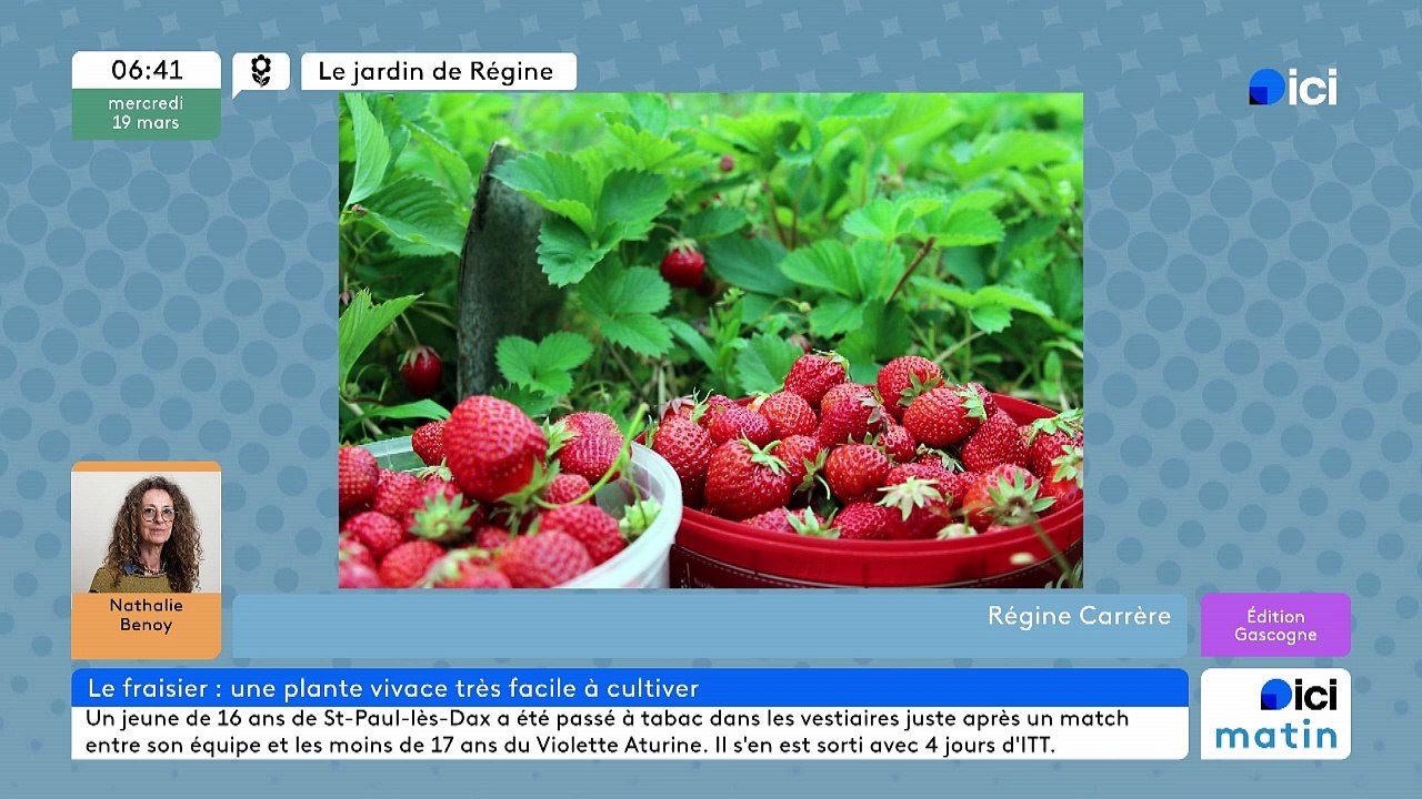 19/03/2025 - ici matin par ici Gascogne en vidéo