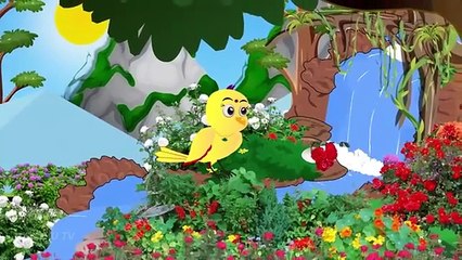 कार्टून _ Rano Chidiya ki Kahani New Episode _ Chidiya Wala Cartoon _ Acchi Hindi Kahani _ Chichu TV(360P)_1
