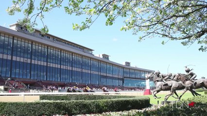 Let's Talk Trainers Podcast