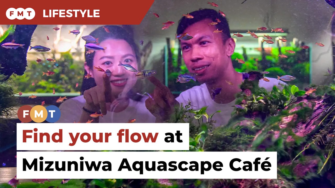 Mizuniwa Aquascape Café