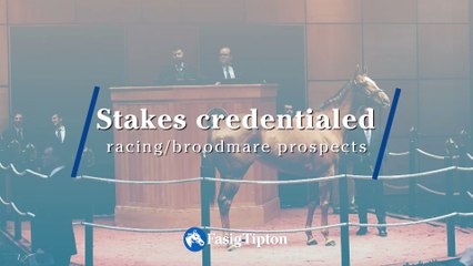 Fasig-Tipton Kentucky Winter Mixed