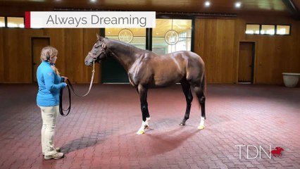 Experience the Thrill of Always Dreaming in Stunning 360° Video 🌟