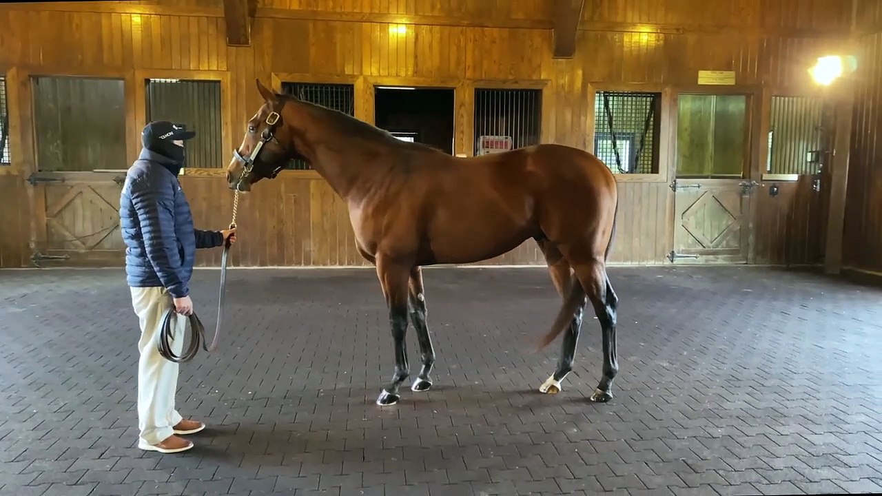 Tiz The Law 360 video