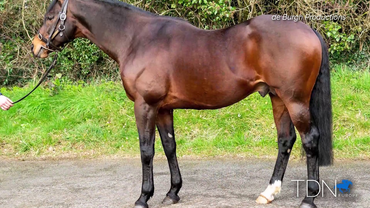 Rathasker Stud
