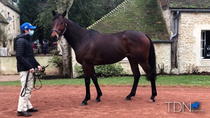 Route des Etalons Highlights