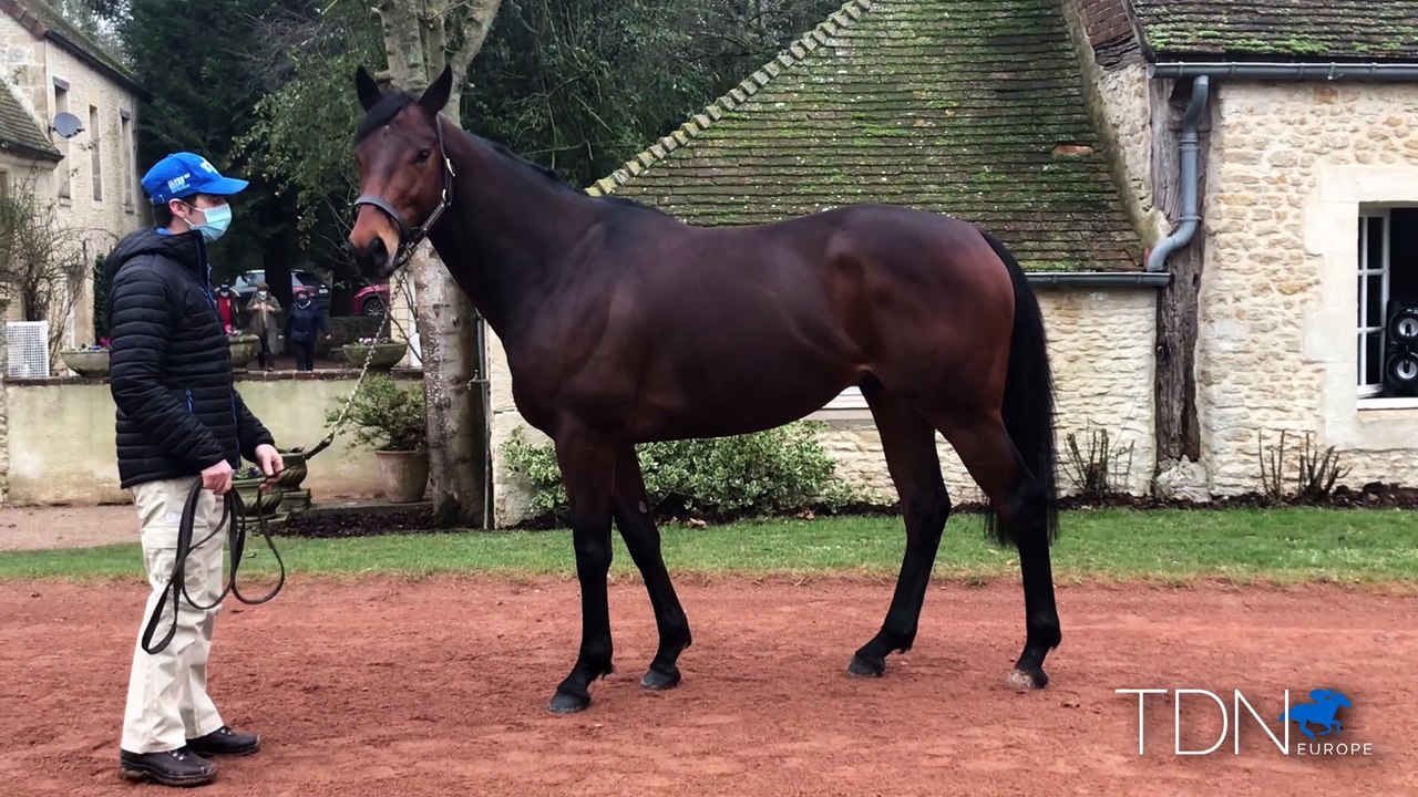 Route des Etalons Highlights