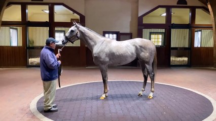 Volatile 360° Video Experience